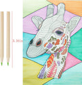 Premium Mini Colour Pencils with Sharpener Caps - 18 Piece