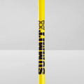Premium 10x Agility Slalom Training Poles with Spring Spike Base & Carry Bag - 170cm
