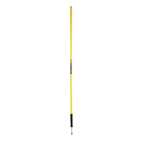 Premium 10x Agility Slalom Training Poles with Spring Spike Base & Carry Bag - 170cm