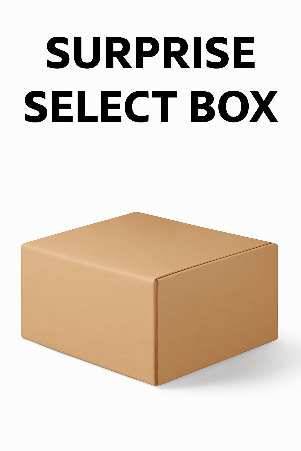 The Surprise Select Box - Random Goodies Await