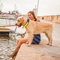 Living Today 50cm Rechargeable LED Pet Collar - Bright, Adjustable, Durable - SuperSaverAU - view 3