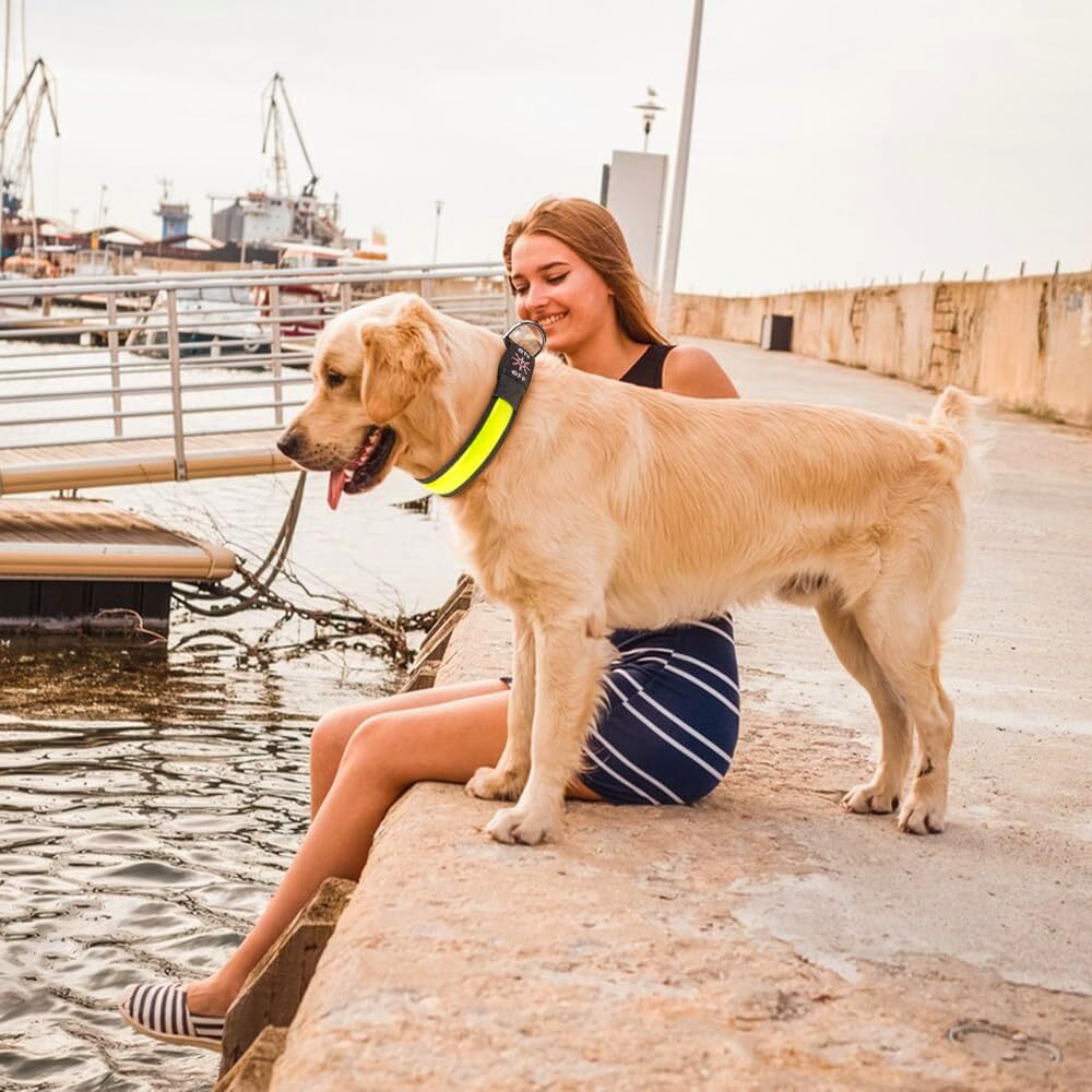 Living Today 50cm Rechargeable LED Pet Collar - Bright, Adjustable, Durable