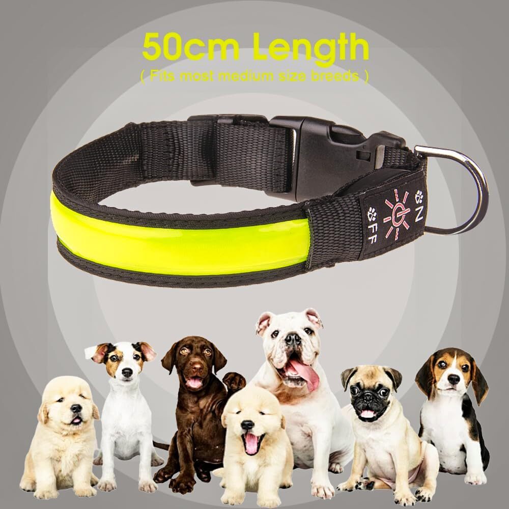 Living Today 50cm Rechargeable LED Pet Collar - Bright, Adjustable, Durable - SuperSaverAU - view 4