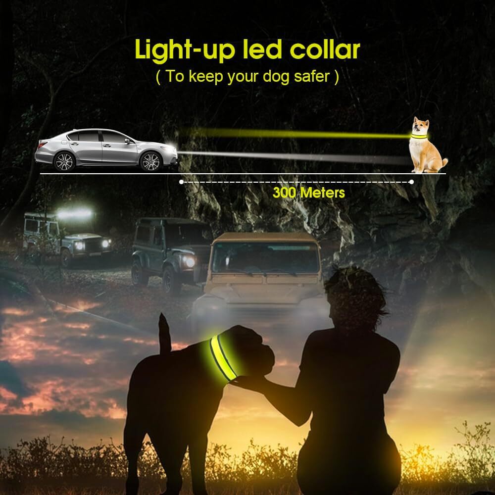 Living Today 50cm Rechargeable LED Pet Collar - Bright, Adjustable, Durable