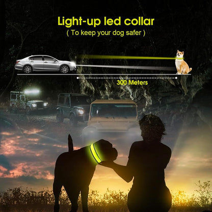 Living Today 50cm Rechargeable LED Pet Collar - Bright, Adjustable, Durable