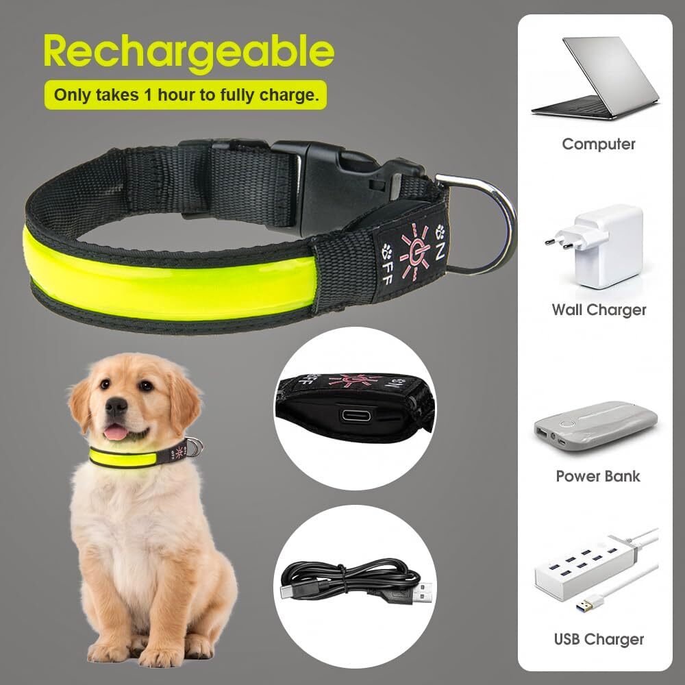 Living Today 50cm Rechargeable LED Pet Collar - Bright, Adjustable, Durable