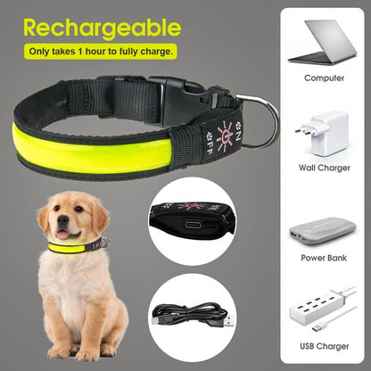 Living Today 50cm Rechargeable LED Pet Collar - Bright, Adjustable, Durable