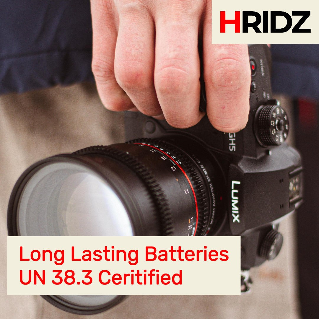 Hridz DMW-BLK22 Dual Battery Charger for Panasonic LUMIX