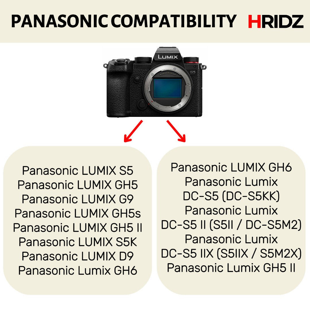 Hridz DMW-BLK22 Battery and Dual Charger Combo for Panasonic LUMIX