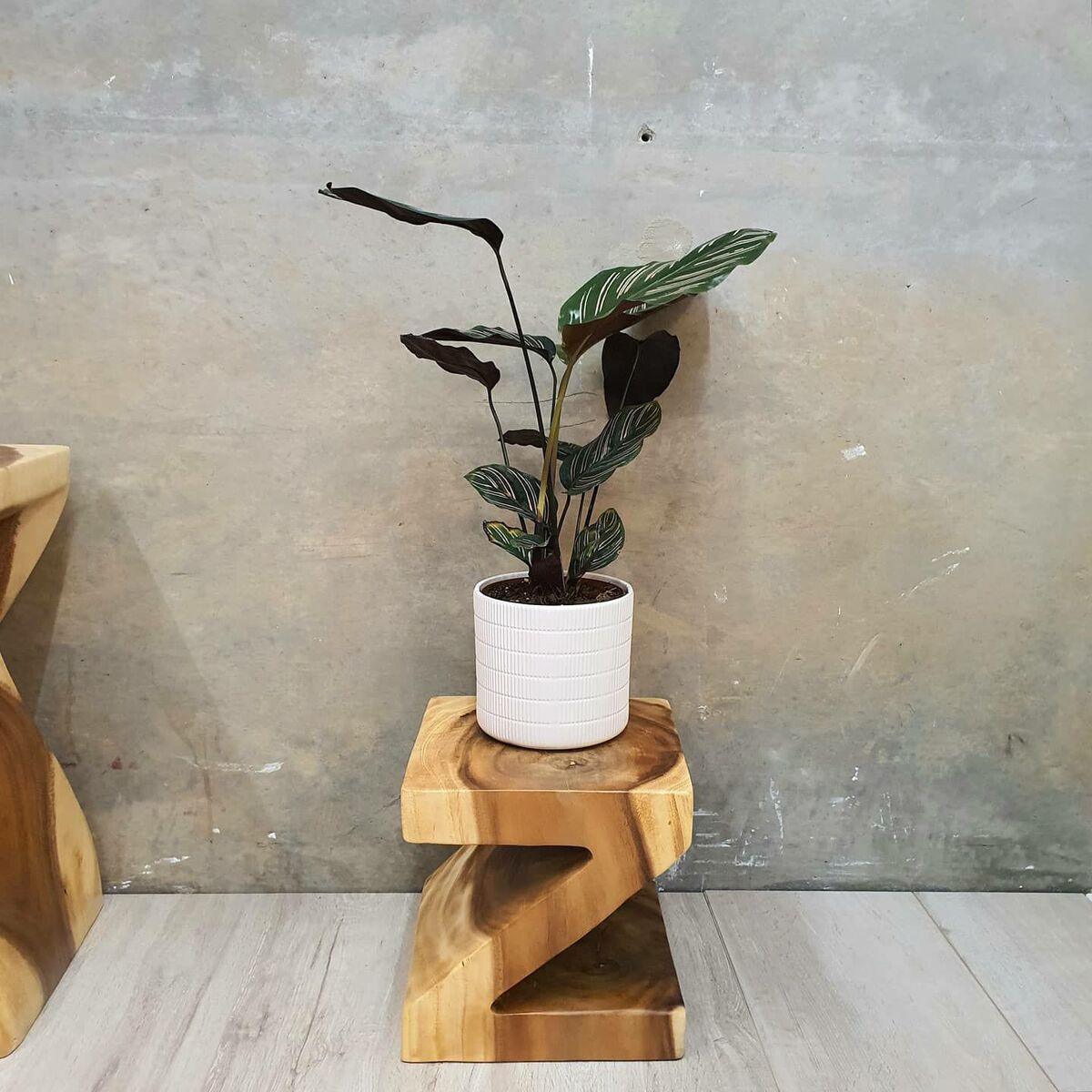 Hand-Carved Z Shape Plant Stand 25cm Raintree Wood