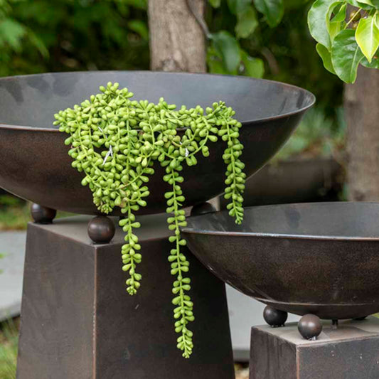 Faux String of Pearls Plant 74cm - Realistic Green Decor