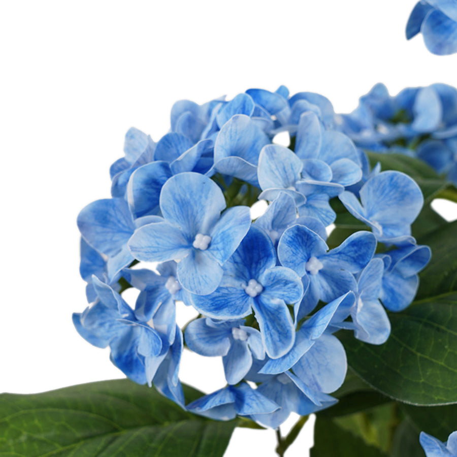 Potted Artificial Blue Hydrangea 50cm