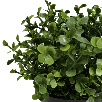 Small Potted Artificial Buxus Plant UV Resistant 20cm