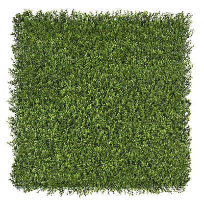 Premium Natural Buxus Hedge Panels UV Resistant 1m X 1m