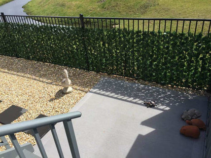 Double Sided Ivy Rolls 3m X 1m