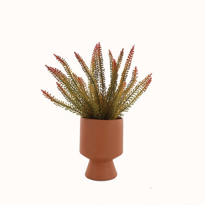 Jai Artifical Fern in Ceramic Vase 32cm