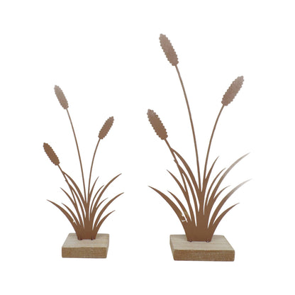 Bulrushes on Base Ornament Set - 30cm Rust Brown/Natural