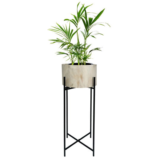Natural Wood Potplanter on Cross Legged Stand 66cm