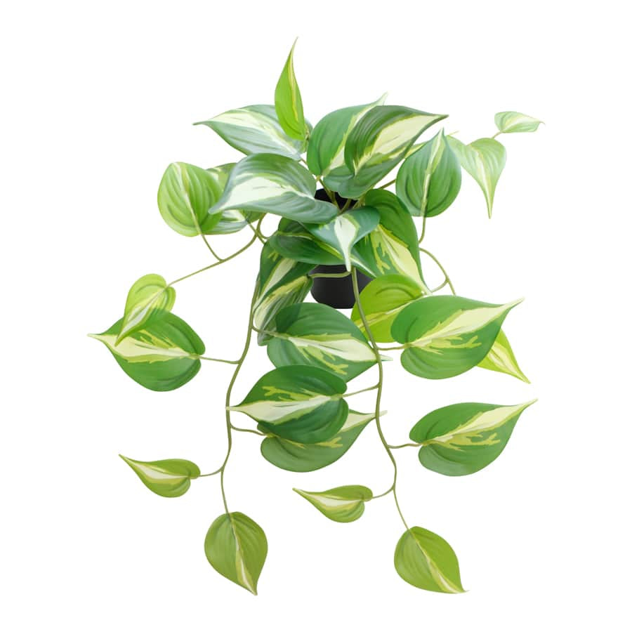 Potted Artificial Hanging Variegated Pothos 42cm