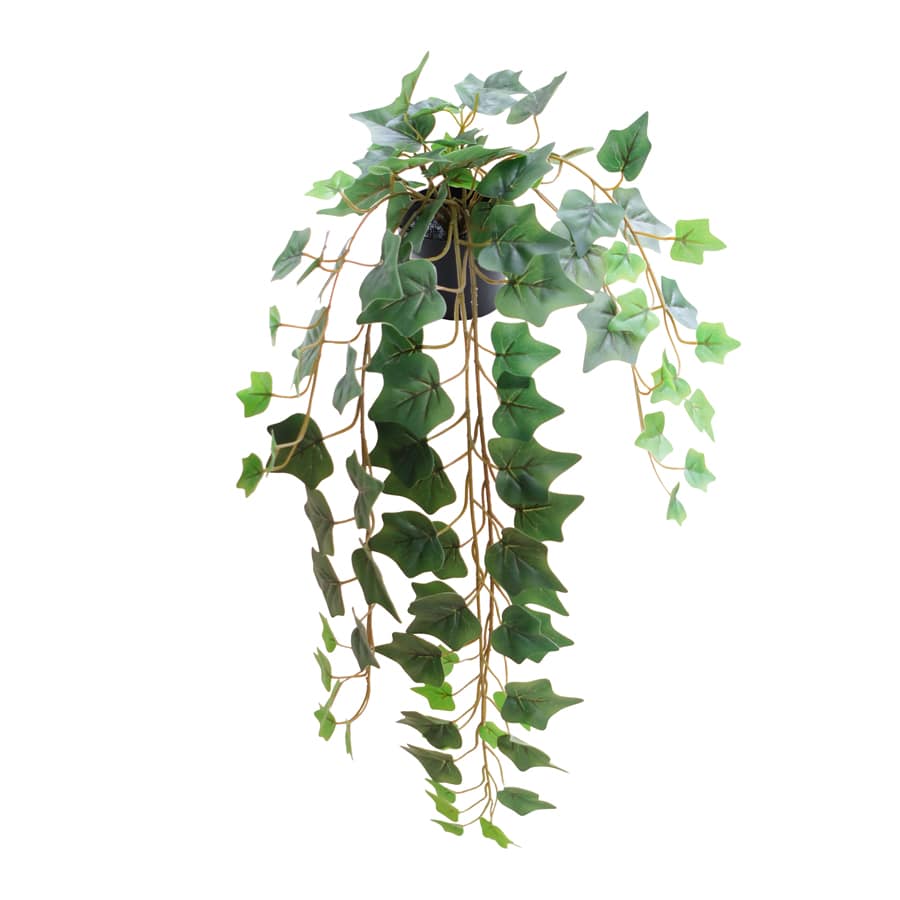 Potted Artificial Hanging Ivy 70cm