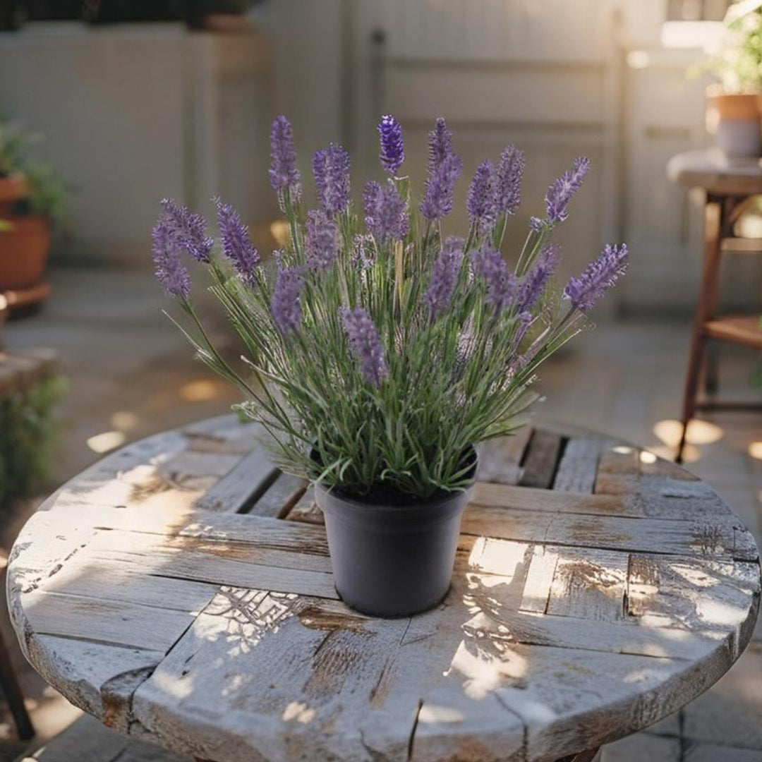 Potted Artificial Lavender Plant 40cm