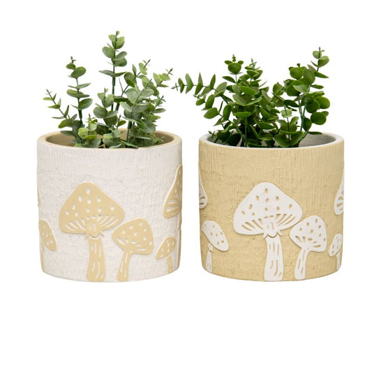 Set 2 Asst Mushroom Planters w Hole + Plug 17cm