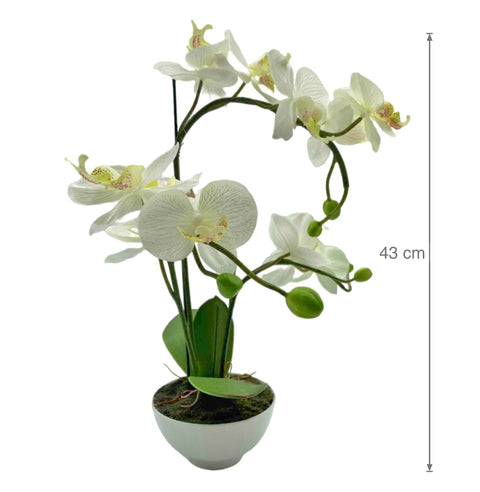 Artificial Orchid with Ceramic Base 44cm - Multi Colour Faux Plant - SuperSaverAU - view 1