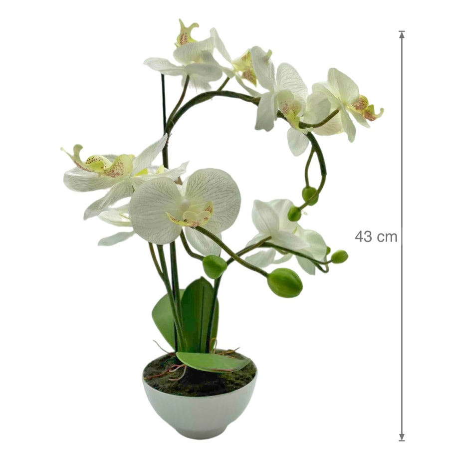 Artificial Orchid with Ceramic Base 44cm - Multi Colour Faux Plant - SuperSaverAU - view 1