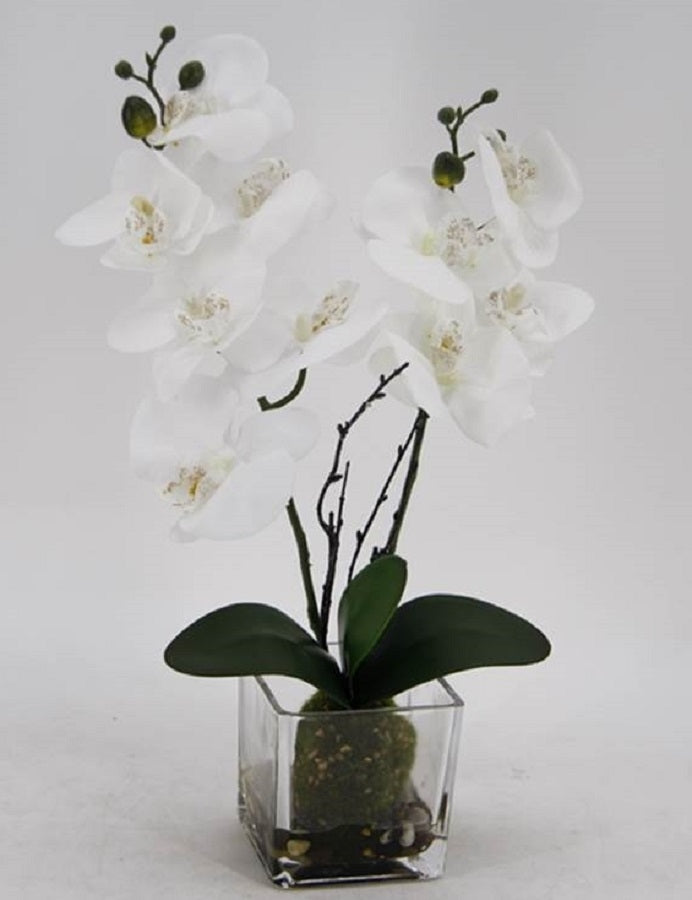 Artificial Orchid in Glass Pot 10x45cm - Realistic Foliage, Green & White - SuperSaverAU - view 1