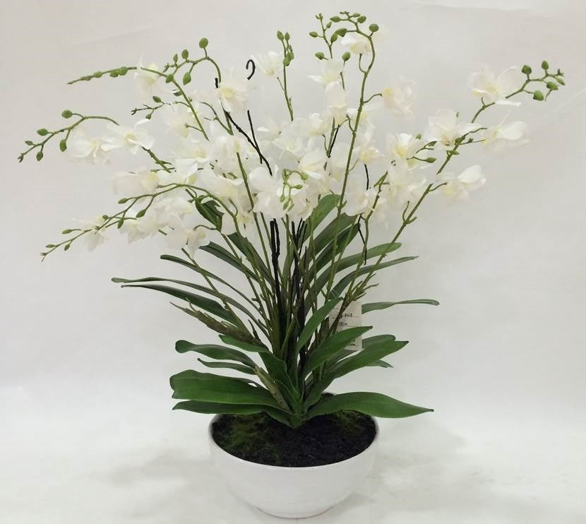 Artificial Orchid in White Pot 50cm