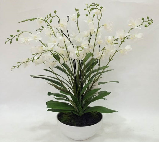 Artificial Orchid in White Pot 50cm