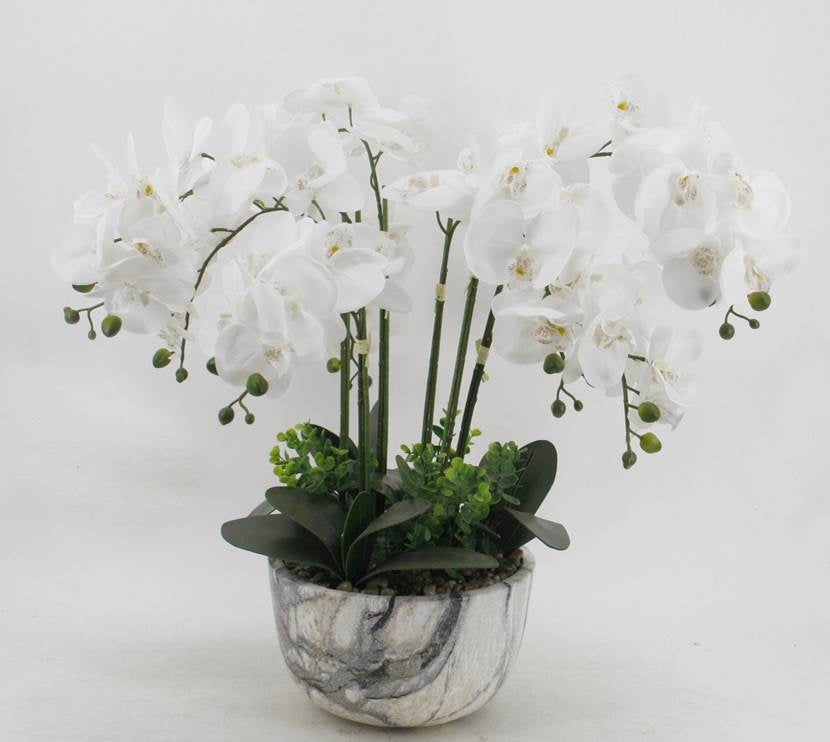 Large White Orchid in Marble Look Pot - 64cm, Realistic Foliage, 5kg - SuperSaverAU - view 1