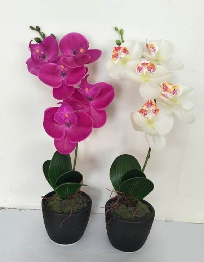 Artificial Single Stem Orchid in Plastic Pot 32cm - Realistic Green Foliage - SuperSaverAU - view 1