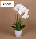 Artificial One Stem Orchid in Plastic Pot - 10x46cm - Realistic Foliage, White - SuperSaverAU - view 1