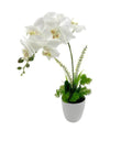 Artificial One Stem Orchid in Plastic Pot - 10x46cm - Realistic Foliage, White - SuperSaverAU - view 2