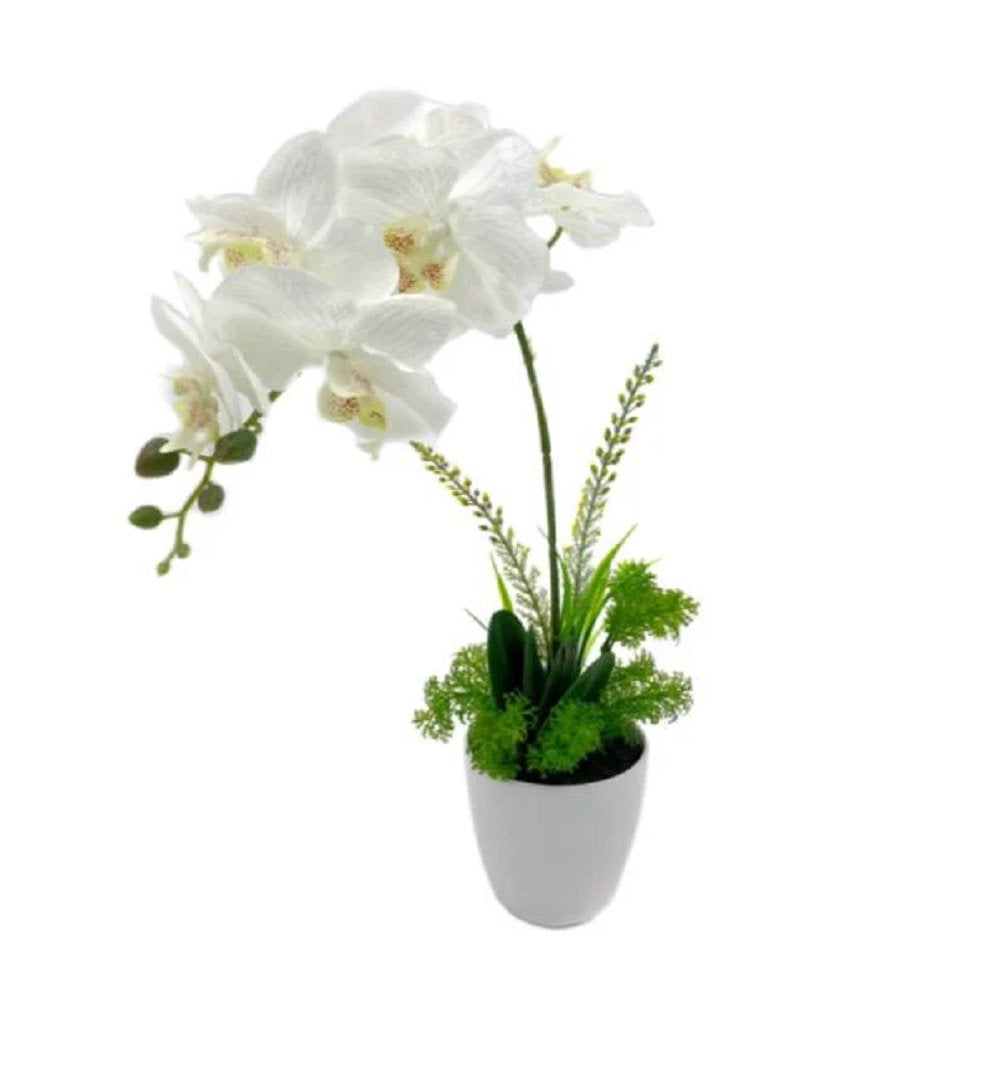 Artificial One Stem Orchid in Plastic Pot - 10x46cm - Realistic Foliage, White - SuperSaverAU - view 2