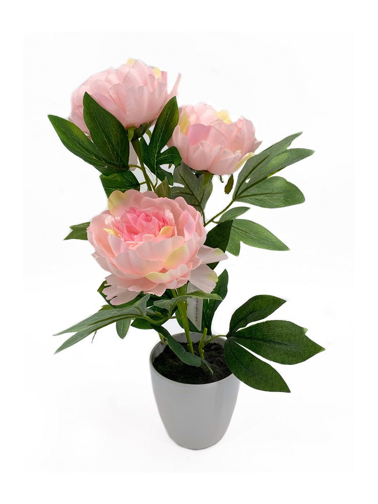 Artificial 3 Stem Peony in Pink Plastic Pot 15x44cm - Realistic Foliage - SuperSaverAU - view 1