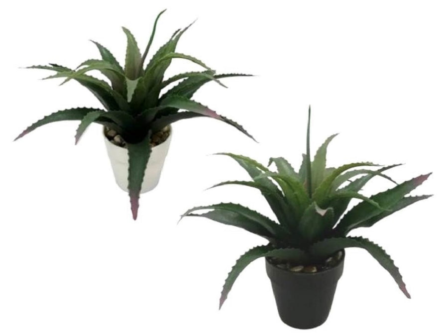 Set 2 Aloe Vera Plant in Plastic Pot 7x25cm - Realistic Foliage, Green - SuperSaverAU - view 1