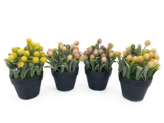 Faux Protea Plant Set - 4 Assorted in Pot 20cm
