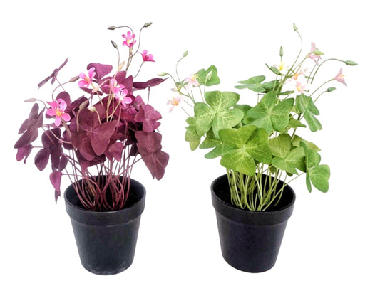 Set 2 Artificial Oxalis Triangularis Plant In Plastic Pot 10x35cm