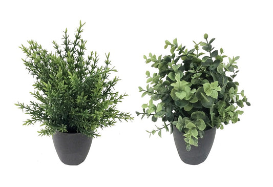 Set 2 Artificial Grass in Pot Assort 25cm