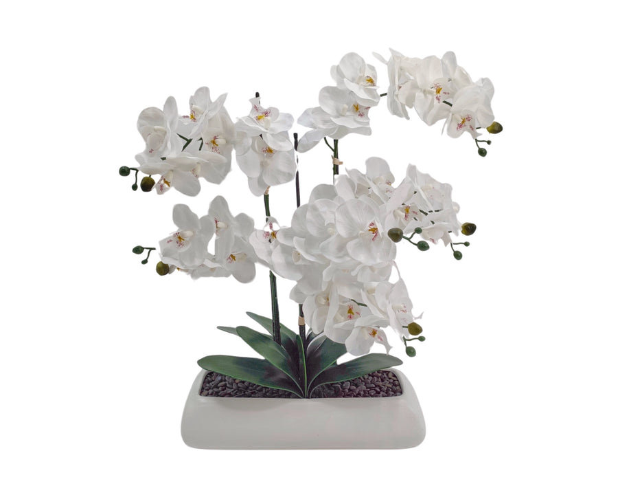 White Orchid in Rectangle Ceramic Pot - 56x61cm, Realistic Foliage, 2kg - SuperSaverAU - view 1