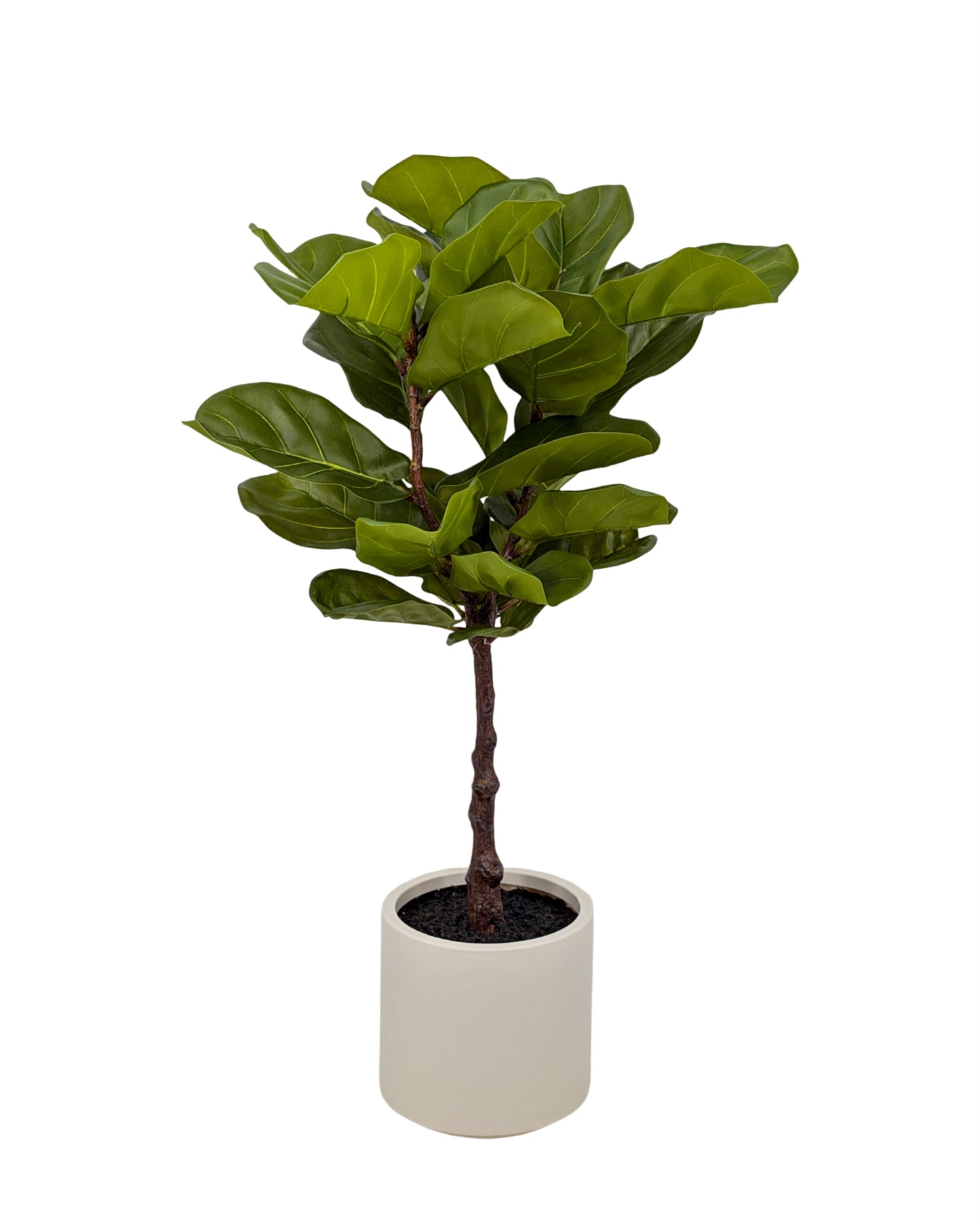 Premium Artificial Fiddleleaf Tree Real Touch 100cm - Green