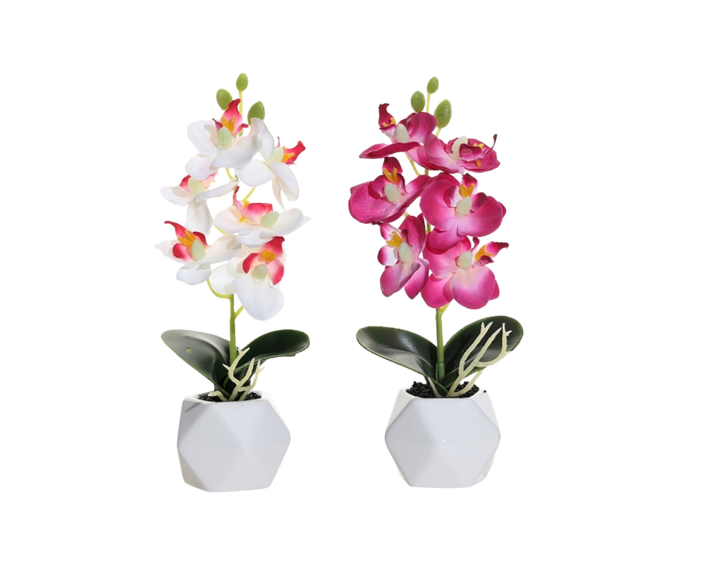 Set 2 Artificial Orchid in Ceramic Pot 10x21cm - Multi Colour, 1kg