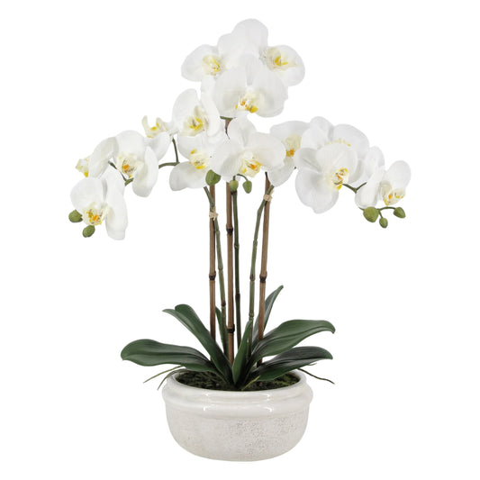 Real Touch Artificial Orchid in Ceramic Pot 57cm