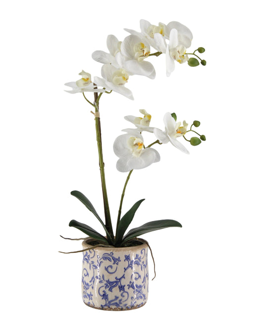 Real Touch Artificial Orchid in Ceramic Pot 53cm