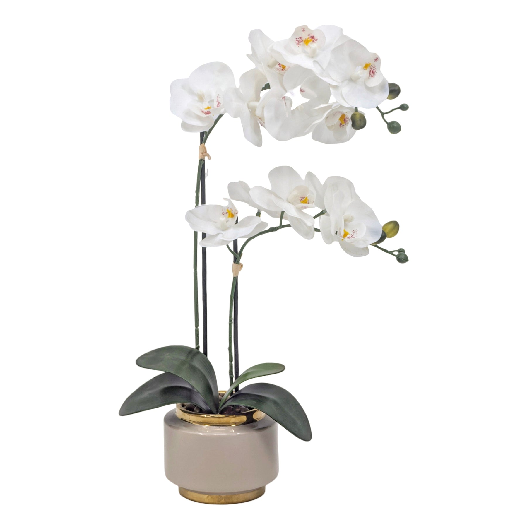 Real Touch Artificial Orchid Pot 50cm - White, Realistic Foliage, 1kg - SuperSaverAU - view 1