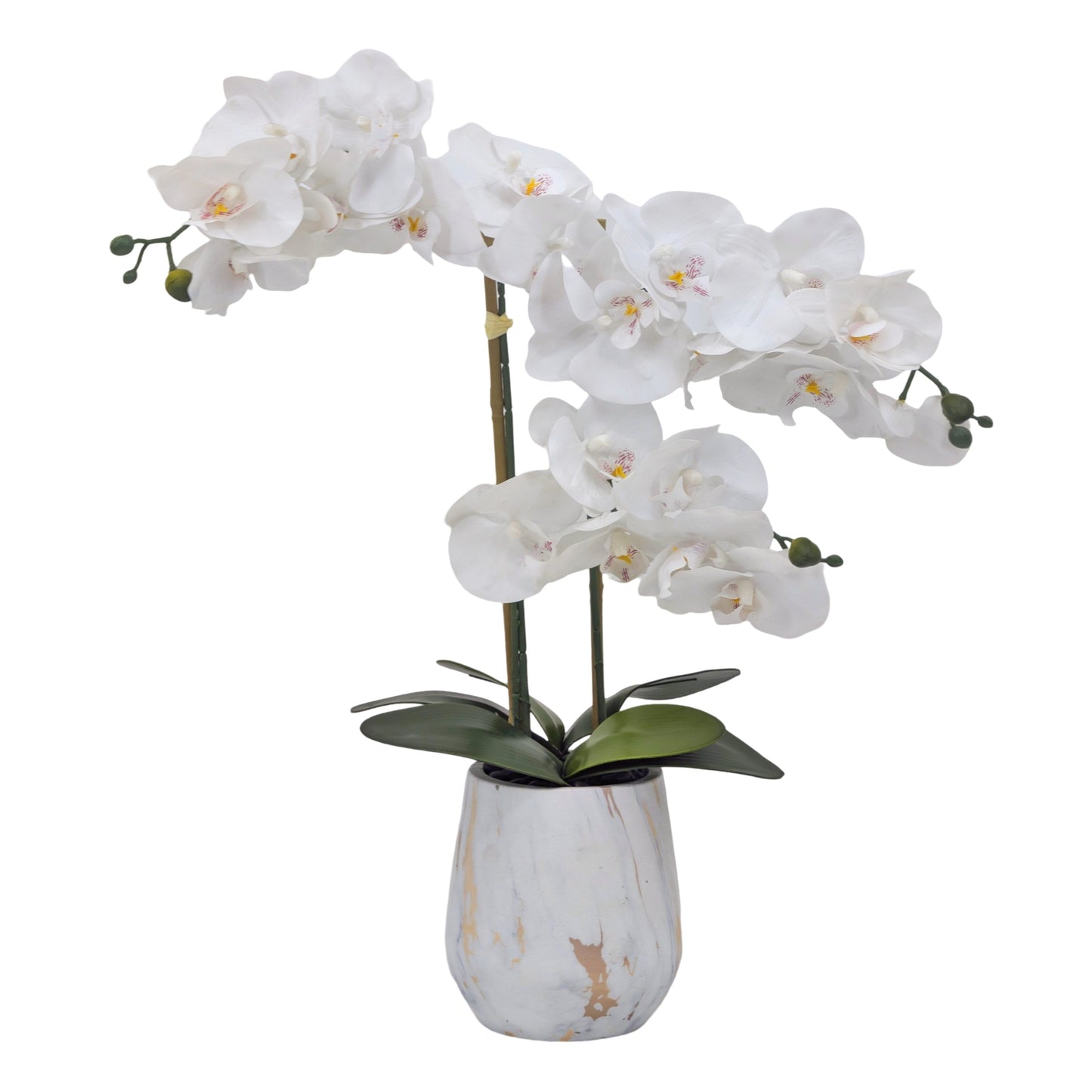 Real Touch Artificial Orchid Pot 55cm