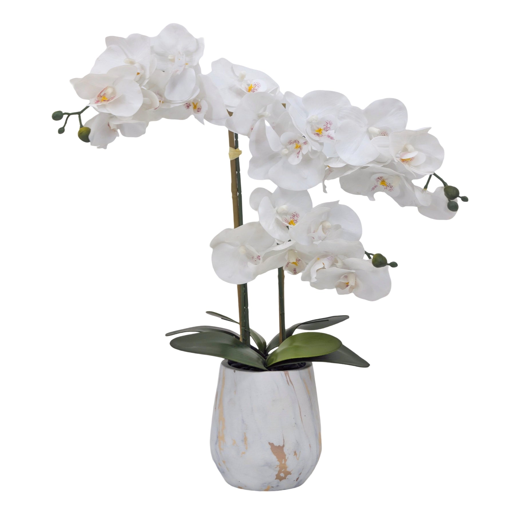 Real Touch Artificial Orchid Pot 55cm - White, Realistic Foliage, 1kg - SuperSaverAU - view 1
