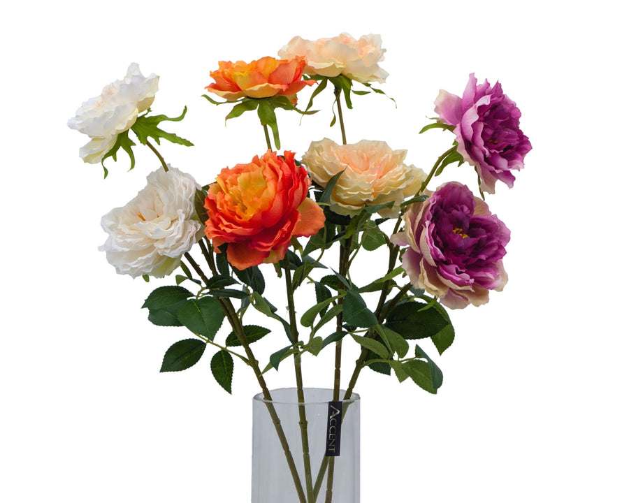 Artificial Peony Stem 2 Heads 4 Assort - 61cm Multi Colour Foliage - SuperSaverAU - view 1